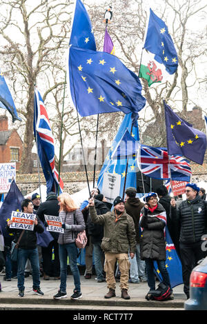 I manifestanti si raccolgono al di fuori del Parlamento prima della votazione significativo (MV) su Brexit accordo di ritiro, Westminster London UK 15 Gennaio 2019 Foto Stock