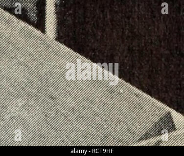 . Disegni per sfusi cestini di frutta. Scomparti; frutta. *T:"^. Si prega di notare che queste immagini vengono estratte dalla pagina sottoposta a scansione di immagini che possono essere state migliorate digitalmente per la leggibilità - Colorazione e aspetto di queste illustrazioni potrebbero non perfettamente assomigliano al lavoro originale. O'Brien, Michael, 1918-. [Berkeley, California ] : Divisione di Scienze Agricole, Università di California Foto Stock