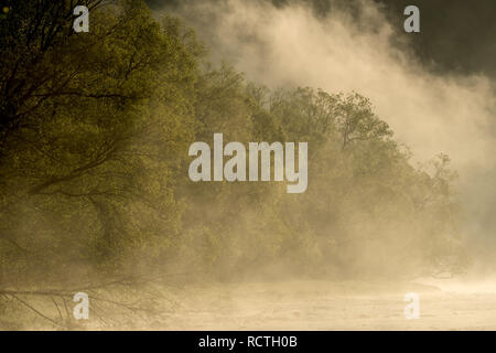 Bella la nebbia sul fiume al mattino. Fiume San nei monti Bieszczady. Polonia Foto Stock