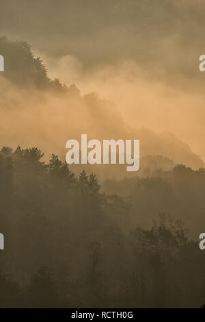 Fantastico nebbia passando sopra la foresta di montagna al sole. Monti Bieszczady. Polonia Foto Stock