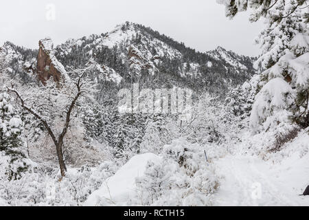 Un mattino nevoso in ombra Canyon nel Flatiron formazioni rocciose del sud di Boulder, Colorado. Foto Stock