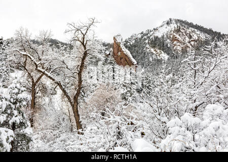 Un mattino nevoso di Shadown Canyon nel Flatiron formazioni rocciose del sud di Boulder, Colorado. Foto Stock