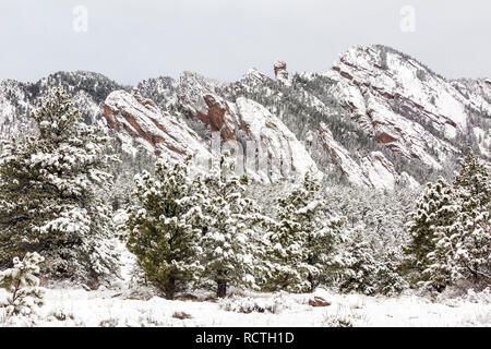 Un mattino nevoso sul Mesa Trail nel Flatiron Mountains del sud di Boulder, Colorado. Foto Stock