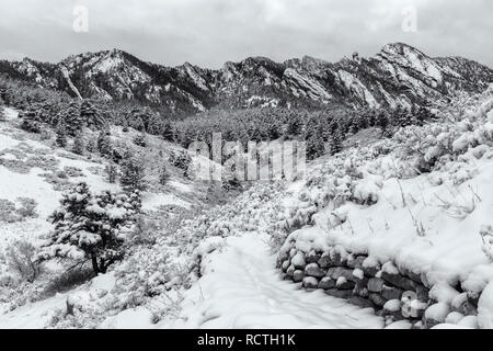 Un mattino nevoso guardando verso il Canyon di ombra e Devil's pollice dal Towhee Homestead Trail in Flatirons a sud di Boulder, Colorado. Foto Stock