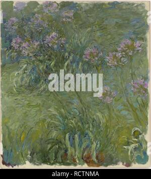 Agapanthus. Museo: © Museo di Arte Moderna di New York. Autore: MONET, CLAUDE. Foto Stock