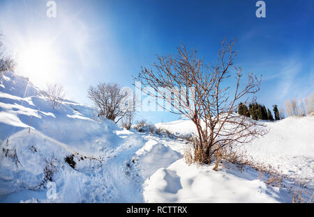 Paesaggio montano invernale con albero e neve strada a cielo blu con Sun Foto Stock