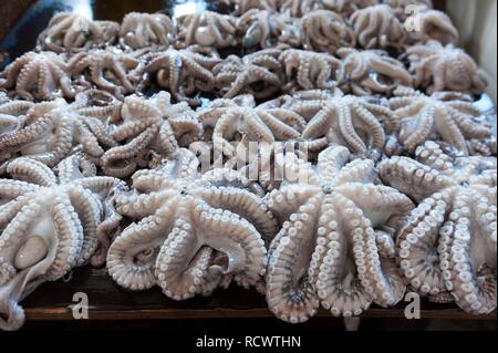 Il polpo fresco, calamari, Darajani Market, Città Vecchia, Lane, Stone Town, Stonetown, città di Zanzibar, Zanzibar, Tanzania Foto Stock