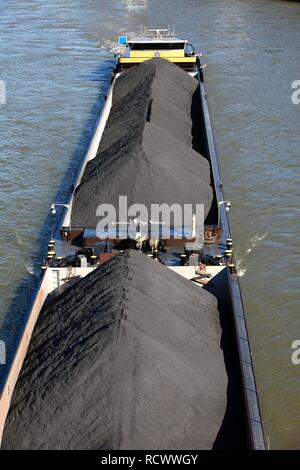 Navi portarinfuse, carbone merci su una nave cargo, Barge, sul Reno nei pressi di Duesseldorf, Renania, Renania settentrionale-Vestfalia Foto Stock