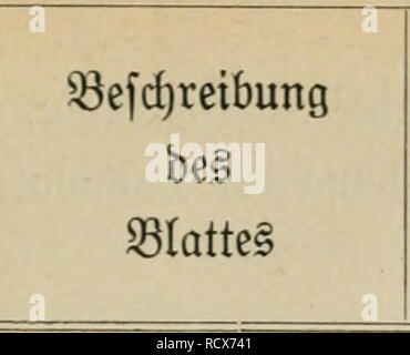 . Der vento als Faktor pflanzenpathologischer. Piante; malattie delle piante. 4Â" 3 m. 41 Sirf)tlage unb S3Cr= fjalten beÂ§ ^^latteS im SBinbe @QC^Â§'fd)e ^obprobe. -I^f FÃ¤rbung ber Samina 10 @ef)r bÃ¼nne, gro^e Â©rf)atten* blÃ¤tter. Sttipatfens parviflora. 95erfuc^ 9k. 20. DIormal. j Â®isti(^mÃ¤^bunfelblau ig. S)ie nad) 3 Â"Stunben anÂ"' Â®te gut beleud)teten Steile geroelfte Â©preit nimmt ber Â©preite f)enblau. S)ic Derfd)iebene Sagen ge^^fc lei^t beleuchteten galten gen bie Sonne un. * 1 ftnb roei^. Â Sie Spreite ftirbt btÂ§ auf einige ber 83afii antiegenbe ^efte ah. * (3erfni(iungen.) SG3ei^. Â®in Foto Stock