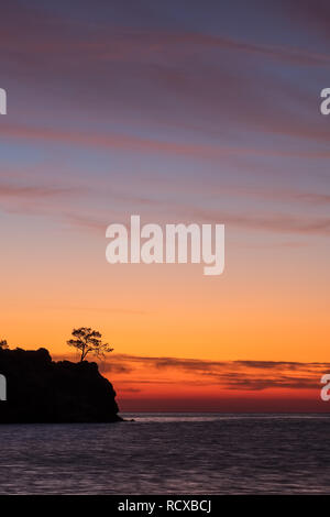 Pino silhouette durante l alba del tempo di attività in mare costa in Turchia Foto Stock