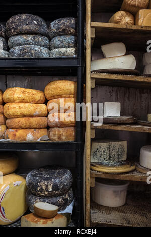 Diversi tipi di formaggio di capra su scaffali in cantina in una fattoria di formaggio in Israele Foto Stock