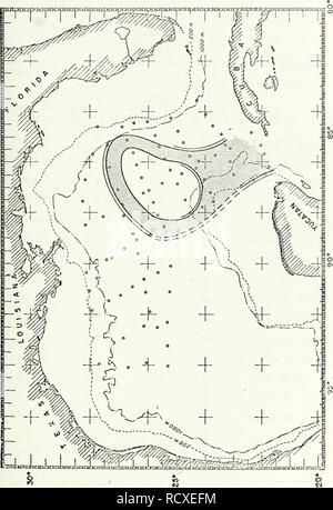 . Una descrizione delle caratteristiche fisiche caratteristiche oceanografiche della parte orientale del Golfo del Messico, Agosto 1968.. Oceanografia. 73. Si prega di notare che queste immagini vengono estratte dalla pagina sottoposta a scansione di immagini che possono essere state migliorate digitalmente per la leggibilità - Colorazione e aspetto di queste illustrazioni potrebbero non perfettamente assomigliano al lavoro originale. Schneider, Michael John. Texas A Foto Stock