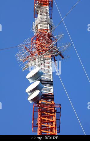 Antenne radio e montante TV DVB-T trasmettitore della WDR, stazione radiotelevisiva Langenberg, Renania settentrionale-Vestfalia Foto Stock