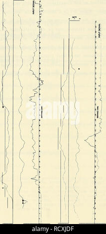 . Descrizione, analisi e previsioni del mare piano rugosità utilizzando modelli spettrali. Fondo dell'oceano; geologia sottomarini. . Si prega di notare che queste immagini vengono estratte dalla pagina sottoposta a scansione di immagini che possono essere state migliorate digitalmente per la leggibilità - Colorazione e aspetto di queste illustrazioni potrebbero non perfettamente assomigliano al lavoro originale. Fox, Christopher Gene; Stati Uniti. Naval Oceanographic Office. Bay St. Louis, Miss. : Naval Oceanographic Office Foto Stock