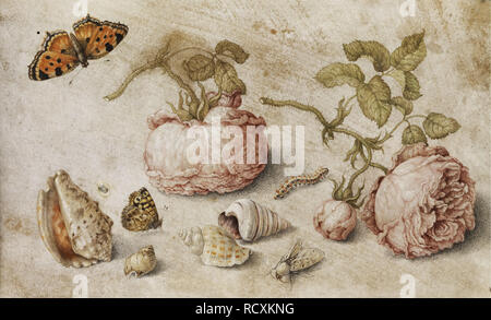 Trompe l'oeil. Museo: Collezione privata. Autore: Kessel, Jan van, il sambuco. Foto Stock