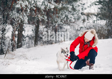 Bella Donna che gioca con un cane Foto Stock