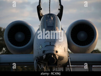 Un 163Fighter Squadron pilota, assegnato al 122Fighter Wing, Indiana Air National Guard, Fort Wayne, Ind. siede nel cockpit di un A-10C Thunderbolt II aeromobili, Dicembre 7, 2018 a MacDill Air Force Base, Fla. il 163FS pilota preflight eseguito controlli al fine di garantire la disponibilità di aeromobili prima di volare a Avon Park Air Force gamma in Avon, Fla. per testare la A-10C degli aeromobili Sistemi di armi funzionalità. (U.S. Air National Guard foto di Senior Airman Rita Jimenez/rilasciato) Foto Stock