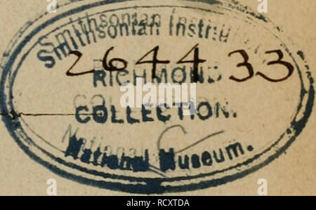 . Der Graupapagei. Senna Naturgeschichte ... Pappagallo grigio africano. Maggio 7.1924 (Ireut3'fdje Perlagsbucbt^anblung (3t &AMP; 5Ä. .Ti-etfcf)mann.) 1896.. Si prega di notare che queste immagini vengono estratte dalla pagina sottoposta a scansione di immagini che possono essere state migliorate digitalmente per la leggibilità - Colorazione e aspetto di queste illustrazioni potrebbero non perfettamente assomigliano al lavoro originale. Russ, Karl, 1833-1899; Richmond, Charles Wallace, 1868-1932 DSI. Magdeburg : Creutz'sche Derlagsbuchhandlung Foto Stock