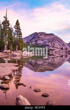 Lago Tenaya di Sunrise Foto Stock