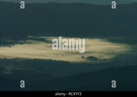 Nebbia su una foresta in una valle di montagna. Bieszczady montagne. Polonia Foto Stock