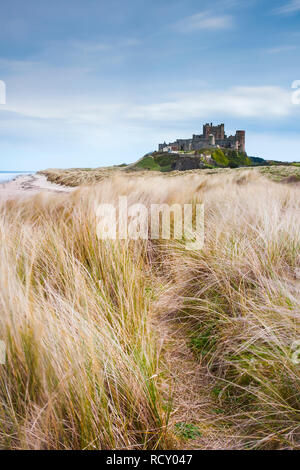 Inghilterra, Northumberland, Bamburgh Castle, l'erba. Una lunga esposizione sulla noiosa serata estiva mentre sulle dune del Northumberland Coast line cercando t Foto Stock