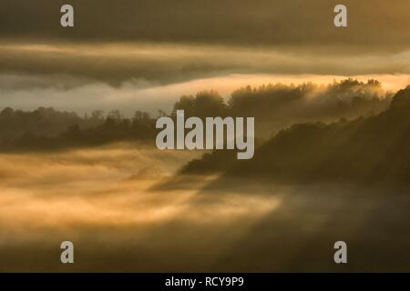Sunrise nella foresta. Monti Bieszczady, Polonia Foto Stock