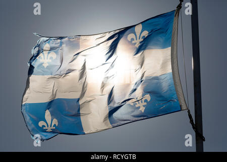 La bandiera provinciale del Quebec vola in Quebec, Canada. Il blu e bianco bandiera porta quattro fleur-de-lys emblemi. Foto Stock