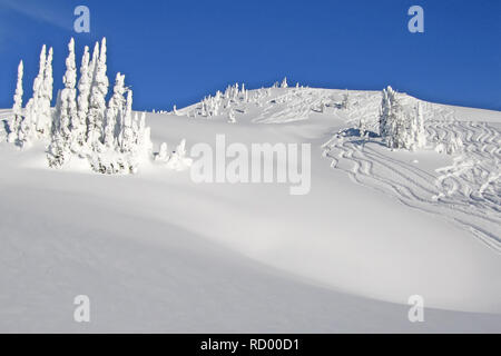 Snowcovered alberi in Bugaboos, una gamma di montagna nelle montagne di Purcell, Bugaboo Parco Provinciale, Britisch Columbia Foto Stock