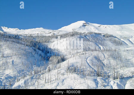 Paesaggio invernale con le montagne e gli alberi del Bugaboos, Purcell montagne, Bugaboo Parco Provinciale, Britisch Columbia Foto Stock