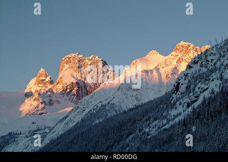 Paesaggio invernale con le montagne e gli alberi del Bugaboos, Purcell montagne, Bugaboo Parco Provinciale, Britisch Columbia Foto Stock