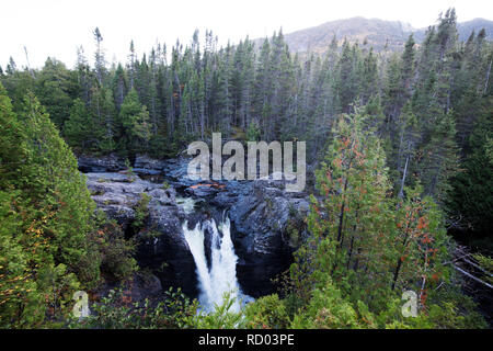 La St Anne cascata in Gaspésie National Park (Parc National de la Gaspésie) sulla penisola di Gaspé del Quebec, Canada. L'acqua cade al di sopra di basalto. Foto Stock