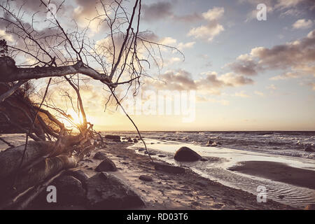 Vista di una spiaggia panoramica con un albero caduto al tramonto, tonificazione del colore applicato. Foto Stock