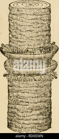 . Dennis' manuale di seta;. Bachi da seta. [Dal vecchio catalogo]; industria della seta. /. Dennis^ Brevetto JrJs migliorato metodo di prevenzione batteriosi vascolare Wor^ns, o altri In^ sette da crescente di frutta o altri alberi. La presente invenzione consiste di un CIRR.ular canale metallico, e tetto, realizzato in un unico pezzo di metallo, e sfenerally di piombo, e piegate in modo da conformarsi alla forma dell'albero^ e le estremità saldate insieme, in modo da apportare un trogolo com reparti- ly intorno all'albero, con un tetto su di esso e ha fatto così grande da lasciare un pollice tra il canale e la struttura ad albero, che consentirà la struttura ad albero per crescere cinque o dieci anni : Foto Stock