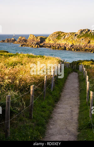 Vista sull'Ile des Landes dal sentiero costiero di Pointe du Grouin in Bretagna, Francia, al tramonto con un faro in lontananza. Foto Stock