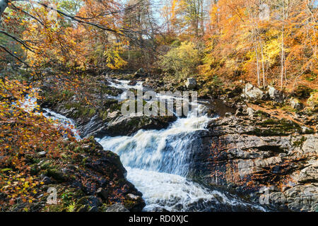 I colori autunnali Royal Deeside, cade di Feugh vicino a Banchory, Aberdeenshire, regione delle Highlands, Scotland Regno Unito Foto Stock