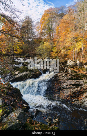 I colori autunnali Royal Deeside, cade di Feugh vicino a Banchory, Aberdeenshire, regione delle Highlands, Scotland Regno Unito Foto Stock