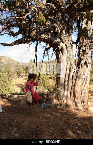 Albero di ginepro, swing e giocare con il bambino Foto Stock