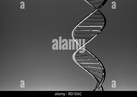 La doppia elica del DNA, grigio Materiale lucido, scuro gradiente dello sfondo Foto Stock