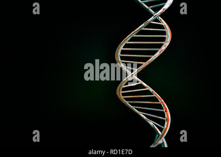 La doppia elica del DNA, rosso Materiale lucido, sfondo scuro Foto Stock