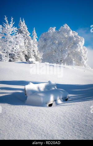 Panchina coperta di neve Gaisberg, Salisburgo, Austria Foto Stock