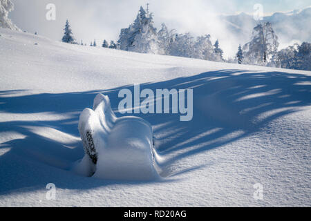 Panchina coperta di neve Gaisberg, Salisburgo, Austria Foto Stock