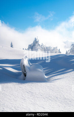 Panchina coperta di neve Gaisberg, Salisburgo, Austria Foto Stock