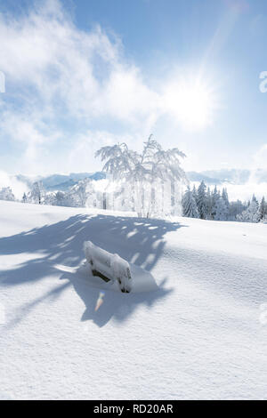 Panchina coperta di neve Gaisberg, Salisburgo, Austria Foto Stock