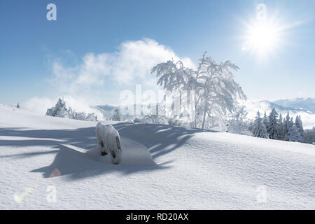 Panchina coperta di neve Gaisberg, Salisburgo, Austria Foto Stock