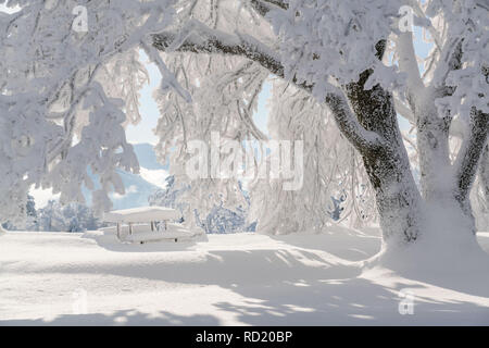 Panchina coperta di neve Gaisberg, Salisburgo, Austria Foto Stock