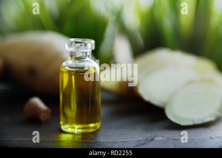 Bottiglia di olio allo zenzero. Radice di Zenzero su sfondo, foglie verdi Foto Stock