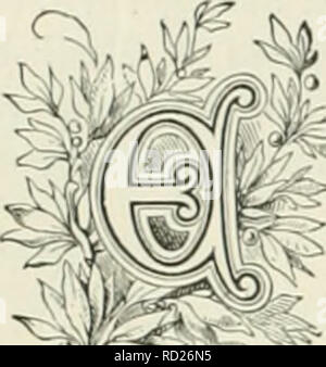 . Allevamento di animali da latte : essendo la teoria, pratica e i metodi di produzione di latte. Aziende lattiere; stabilimenti lattiero-caseari; latte piante. Capitolo XXVIII. American Mii.k Tkaui; e la città di alimentazione. naihvaj-trasporto Cans-New York Supply-Delivery WagonâGlass bottiglie e Jars-PhiladelphiaâChieagoâBoston- Onondaga Jlilk Associazione di Siracusa. fZ^OVGH Las già stato detto ''^j^ ill riguardo alla vendita e consegna di latte per uso come cibo nel quartiere della sua produzione, ma , â " questione di città supjdy deve essere ulteriormente notato e alcuni esempi forniti. Per preparare il latte per un trasporto sicuro a considerare Foto Stock