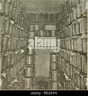 . Tecnologia casearia; un trattato sulla città di alimentazione del latte, il latte come un alimento, gelateria, sottoprodotti della latteria e cheesery, latti fermentati, condensato e fatto evaporare latti, latte in polvere, rinnovato il burro e oleomargarine. Dairying; latte; prodotti lattiero-caseari. ICE-CREAM FABBRICHE 179 per circa ventiquattro ore fino a quando la crema viene accuratamente- temprata attraverso tutti e fino a quando presi fuori per la spedizione. Per preparare la crema per la spedizione, le lattine vengono collocati in una vasca e pranzo con sale e ghiaccio. Refrigerazione artificiale viene impiegata per tutti il raffreddamento. Fig. 45. - Ice-cream indurimento nella camera del grano Foto Stock