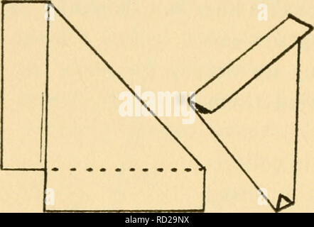 . Lezioni elementari su insetti. Gli insetti. 180 Lezioni elementari su insetti. Fig. 64.-uno storage. buste con alette chiuse insieme al di sopra del dorso. Il nome dell'in- setta, località e data di col- riflettenti dovrebbero essere scritti sulla parte esterna della busta. Provini così "tappezzato" può quindi essere conservato in- decisamente in qualsiasi peste-scatola di prova. Si tratta di un metodo molto economico per mantenere i campioni duplicati ed è utilizzato dai migliori entomologi ovunque. Questi esemplari possono essere "rilassata" (vedere p. 186) e montato in qualsiasi momento successivo. Per la rapida movimentazione delle piccole Foto Stock