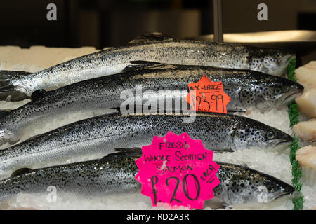 Crudo fresco salmone scozzese visualizzato su un contatore di pescivendoli al mercato di Leeds, West Yorkshire, Inghilterra, Regno Unito. Foto Stock